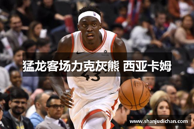 猛龙客场力克灰熊 西亚卡姆