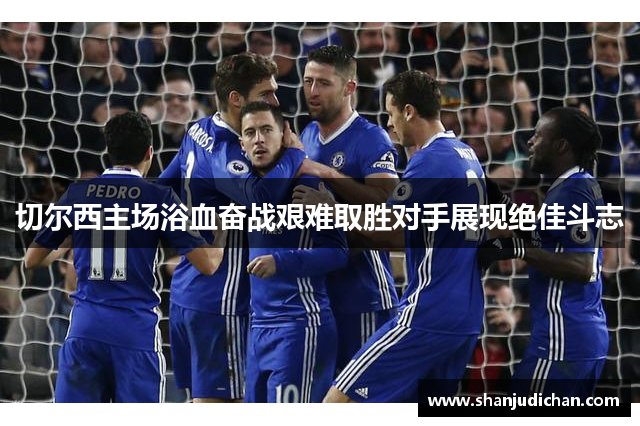 切尔西主场浴血奋战艰难取胜对手展现绝佳斗志