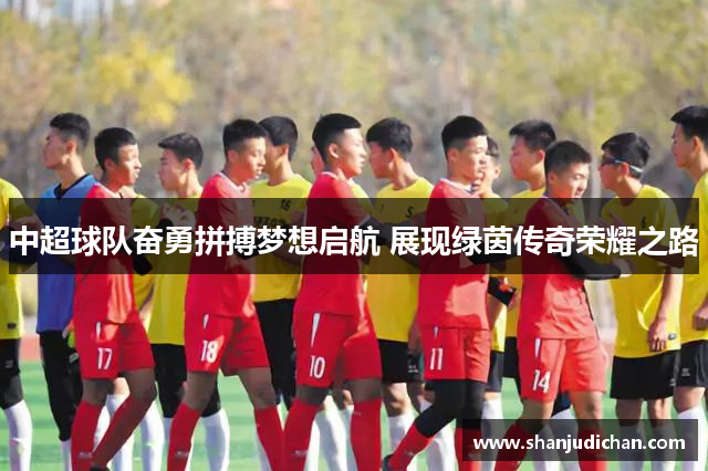 中超球队奋勇拼搏梦想启航 展现绿茵传奇荣耀之路
