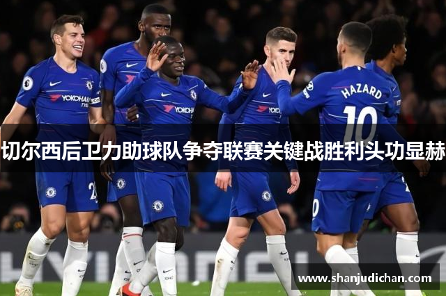 切尔西后卫力助球队争夺联赛关键战胜利头功显赫