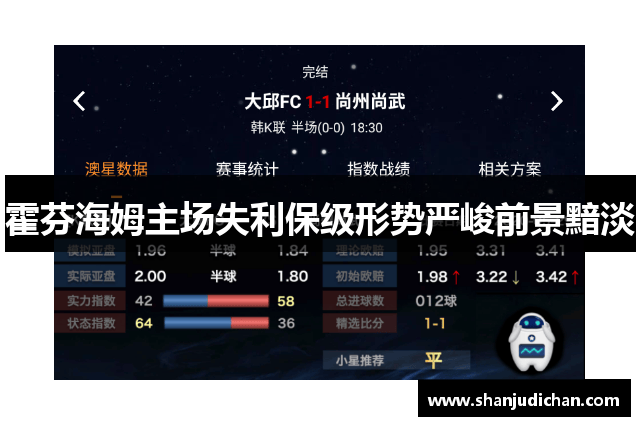 霍芬海姆主场失利保级形势严峻前景黯淡