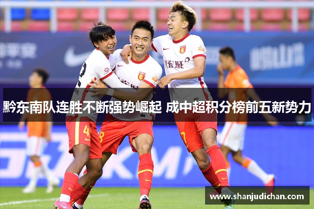 黔东南队连胜不断强势崛起 成中超积分榜前五新势力