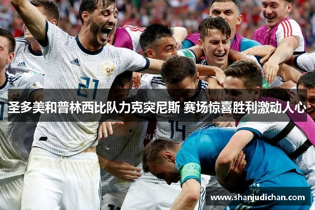 圣多美和普林西比队力克突尼斯 赛场惊喜胜利激动人心