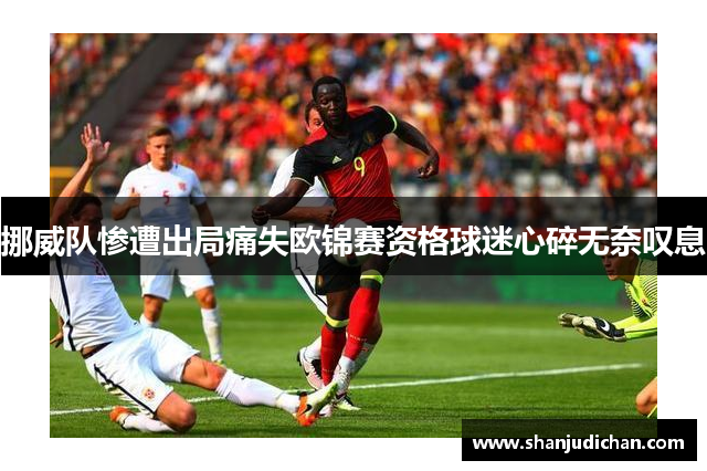 挪威队惨遭出局痛失欧锦赛资格球迷心碎无奈叹息