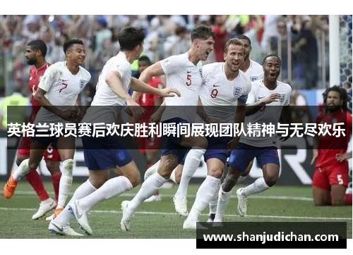 英格兰球员赛后欢庆胜利瞬间展现团队精神与无尽欢乐