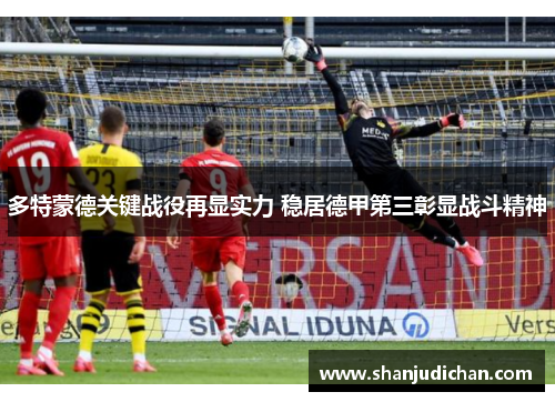 多特蒙德关键战役再显实力 稳居德甲第三彰显战斗精神