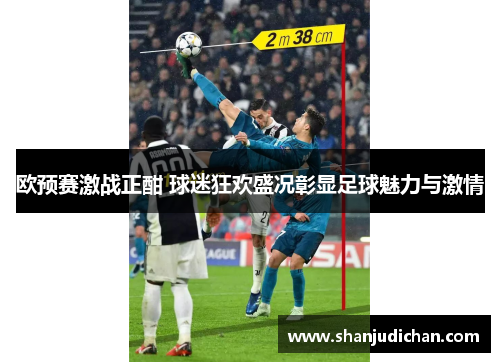 欧预赛激战正酣 球迷狂欢盛况彰显足球魅力与激情