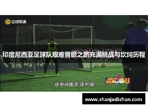 印度尼西亚足球队艰难晋级之路充满挑战与坎坷历程