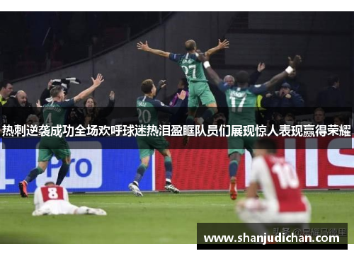 热刺逆袭成功全场欢呼球迷热泪盈眶队员们展现惊人表现赢得荣耀