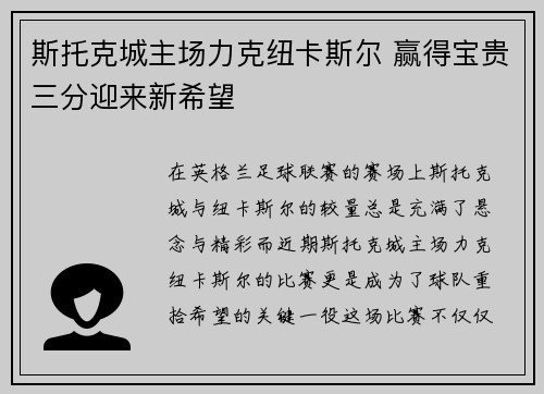 斯托克城主场力克纽卡斯尔 赢得宝贵三分迎来新希望