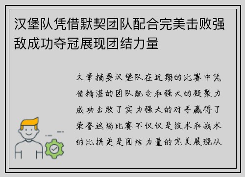 汉堡队凭借默契团队配合完美击败强敌成功夺冠展现团结力量