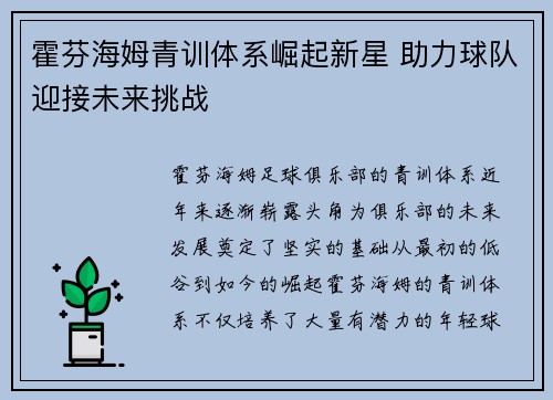 霍芬海姆青训体系崛起新星 助力球队迎接未来挑战