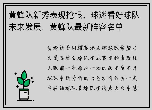 黄蜂队新秀表现抢眼，球迷看好球队未来发展，黄蜂队最新阵容名单